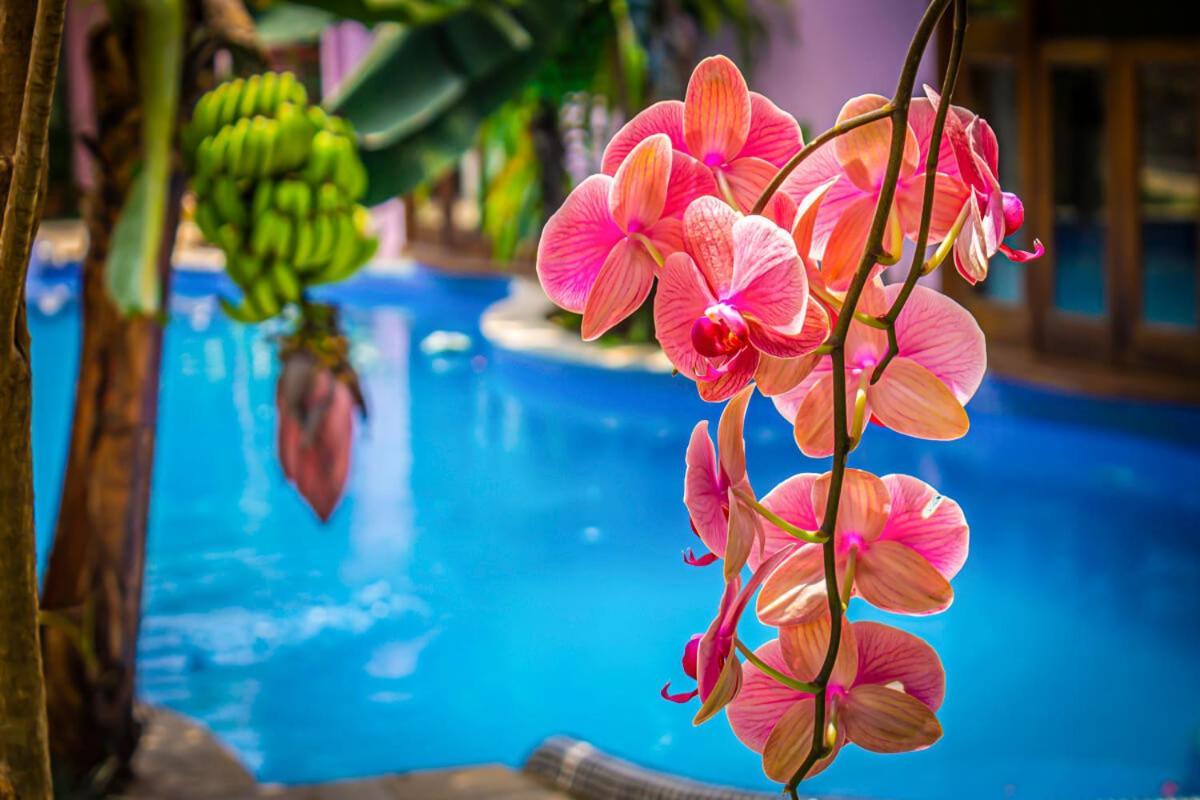 Pousada Da Banda Sao Sebastiao  Ngoại thất bức ảnh